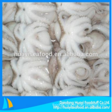 new fresh good frozen baby octopus outstanding provider